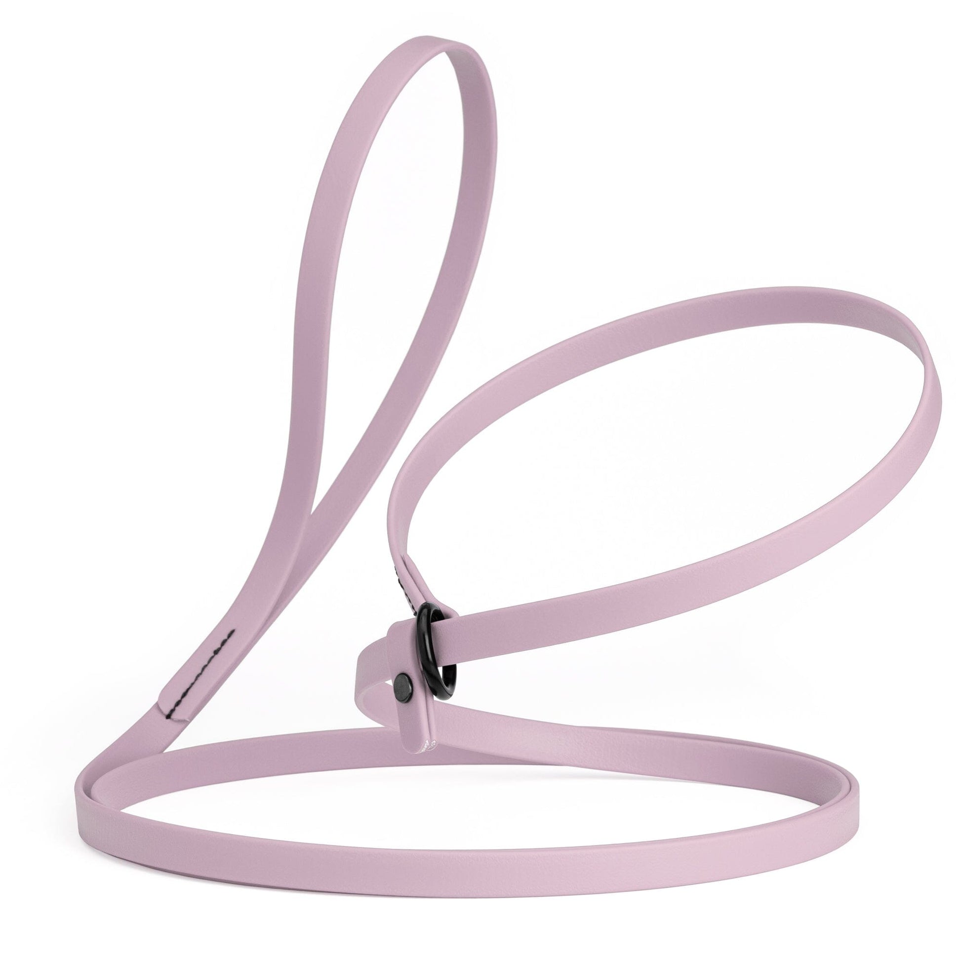 Biothane Slip Lead for Dogs, 5FT and 7FT