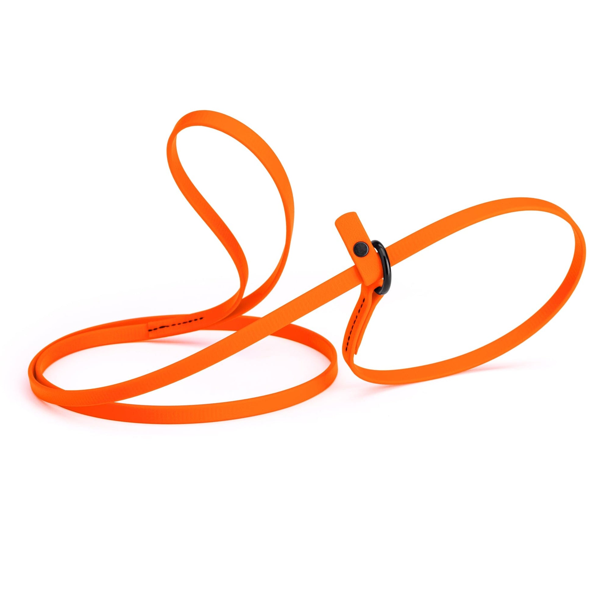 Biothane Slip Lead for Dogs, 5FT and 7FT