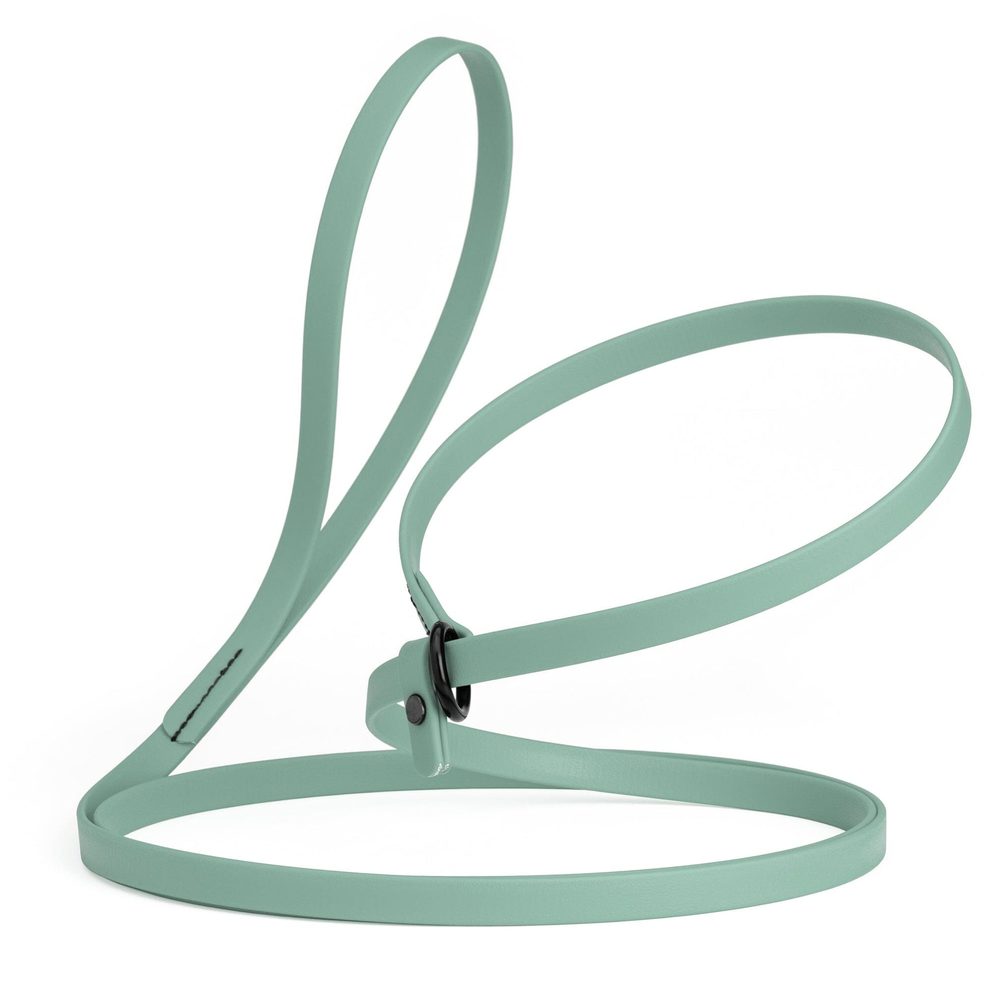 Biothane Slip Lead for Dogs, 5FT and 7FT