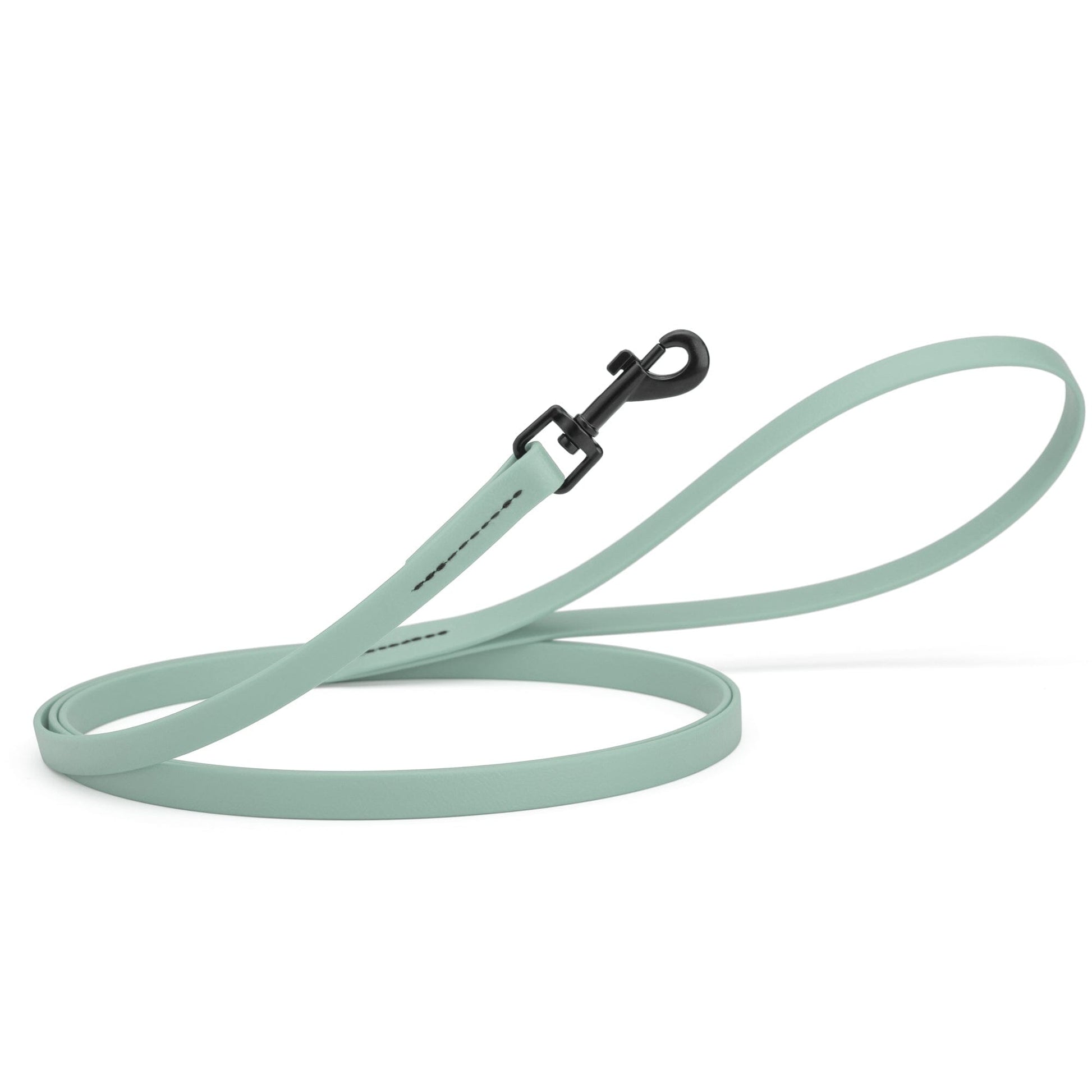 Biothane Waterproof Dog Leash, 4 ft