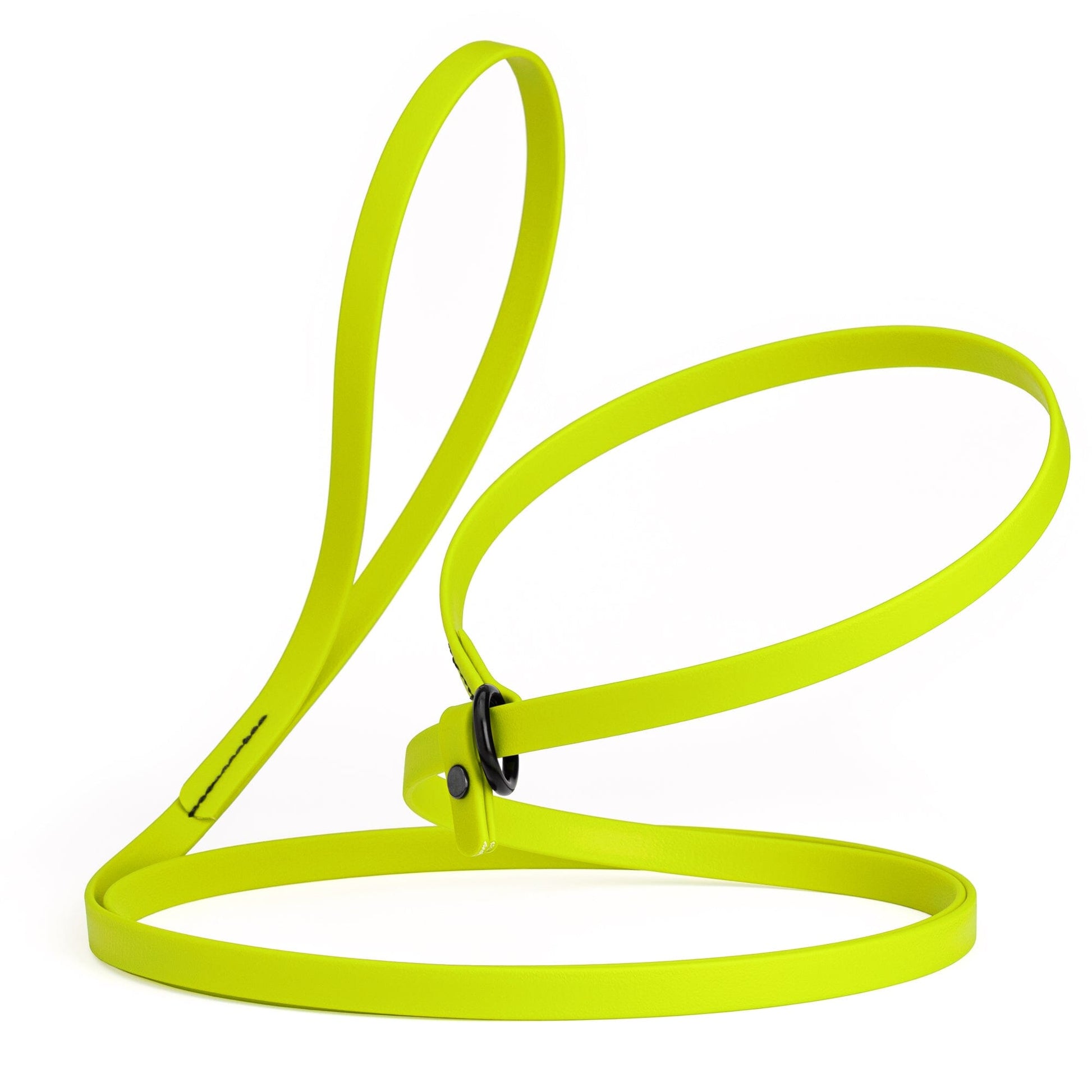 Biothane Slip Lead for Dogs, 5FT and 7FT