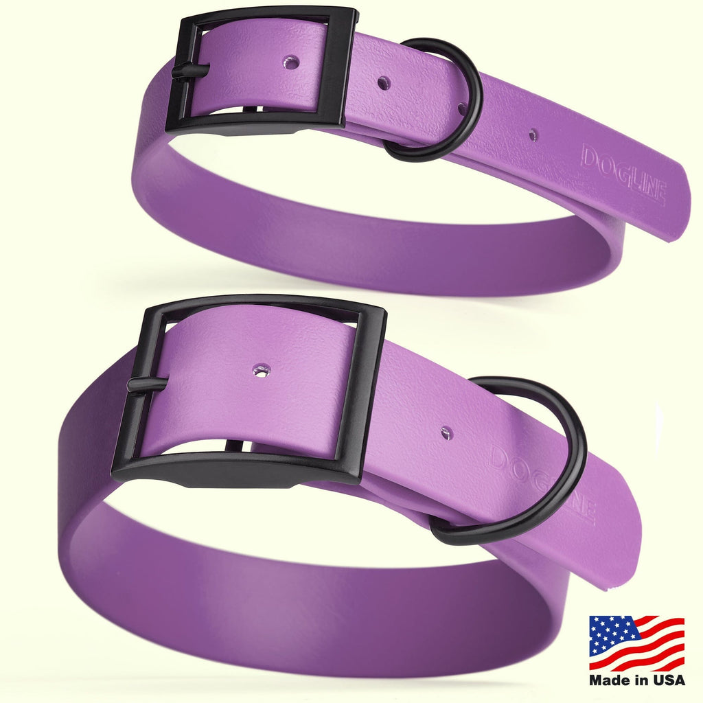 Biothane Waterproof Dog Collar - X-Small (9 to 12 inches)