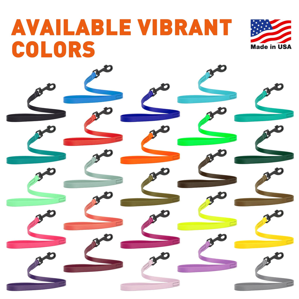 Biothane Waterproof Traffic Lead for Dogs, 2 ft