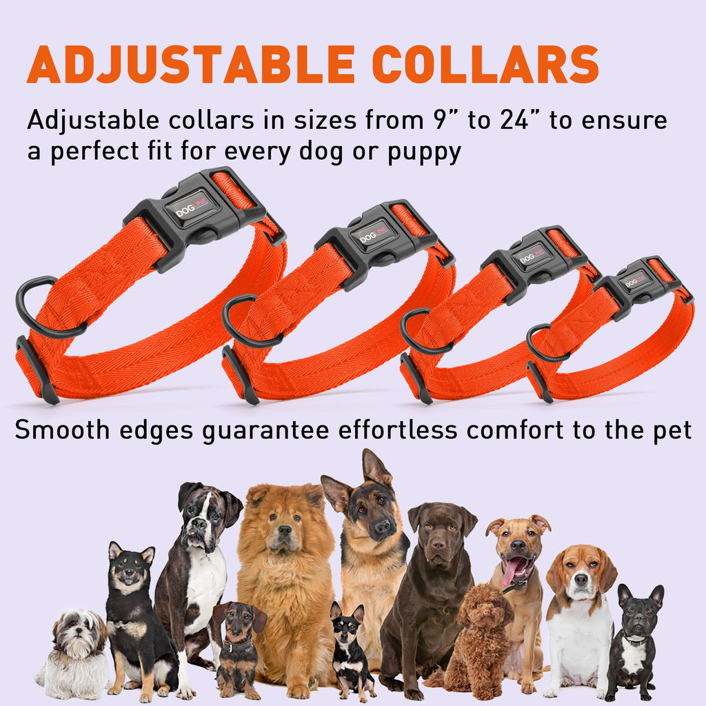 Nylon Flat Dog Collar