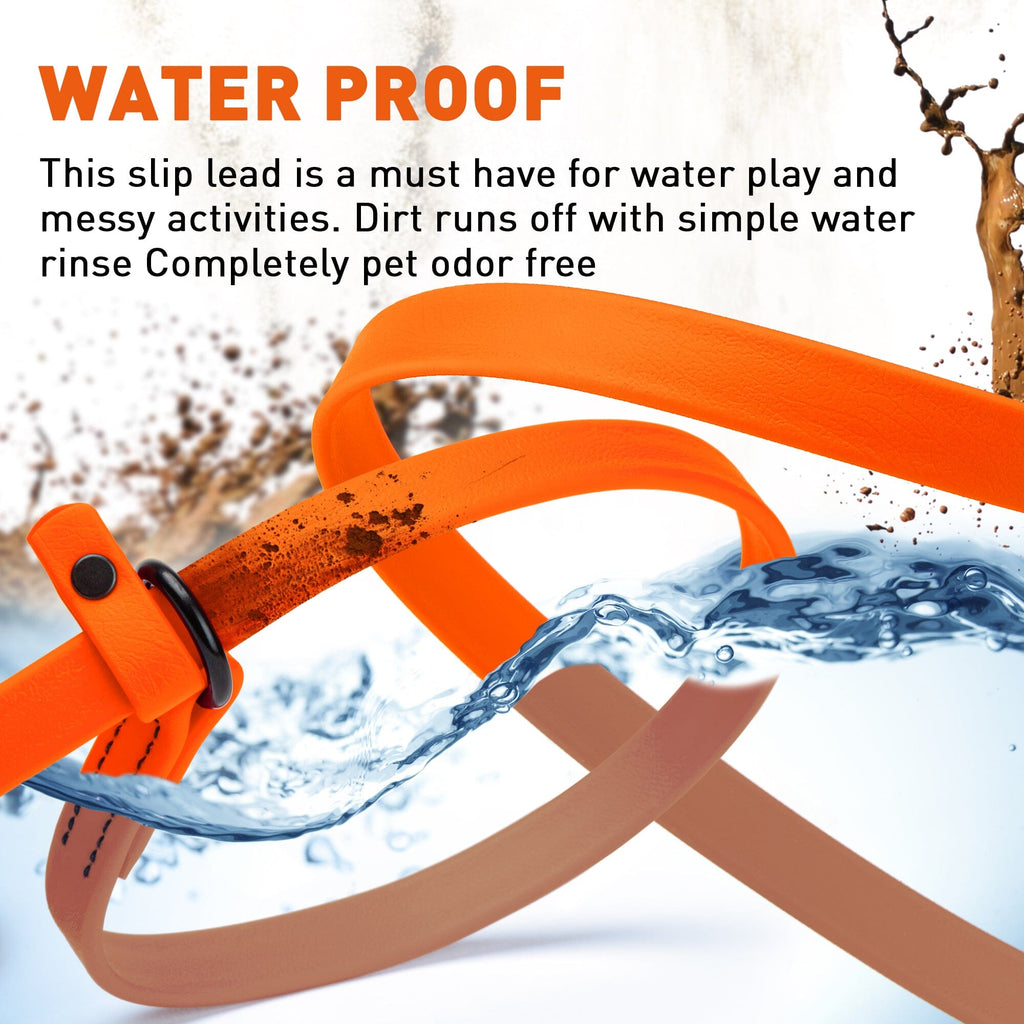 Biothane Slip Lead for Dogs, 5FT and 7FT