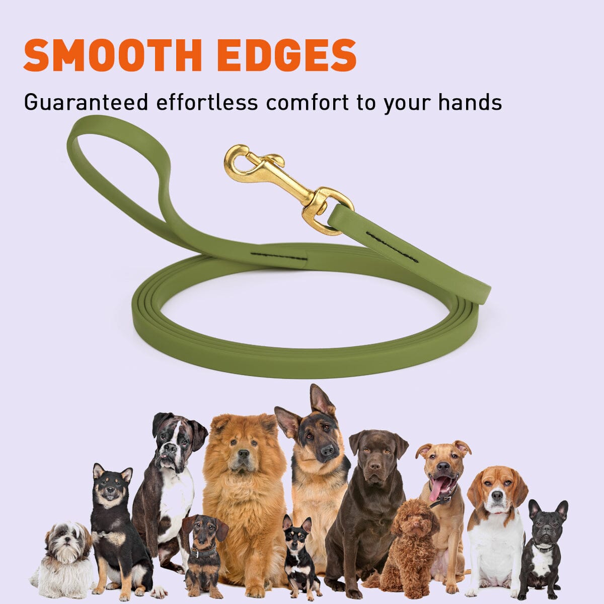 Viper Biothane Long Line 33 ft Lead with Brass Hardware