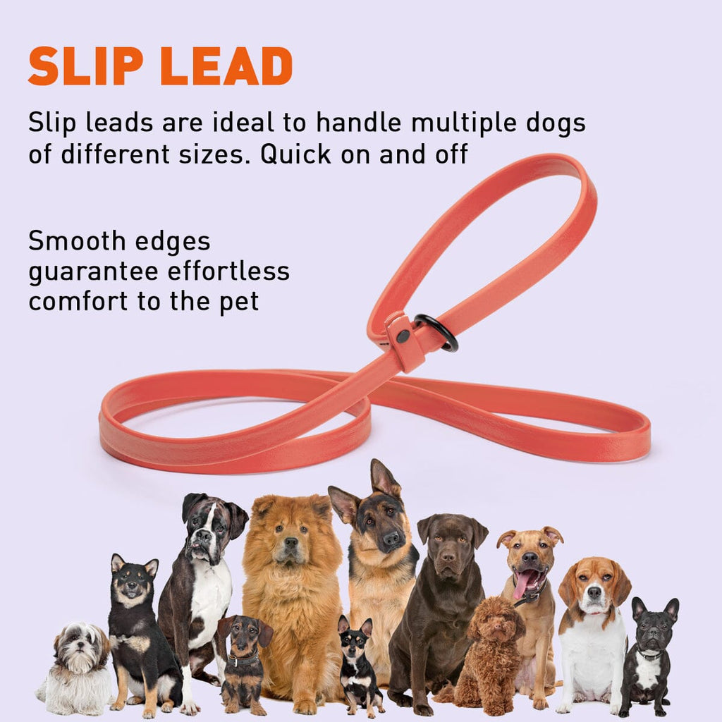 Biothane Slip Lead for Dogs, 5FT and 7FT