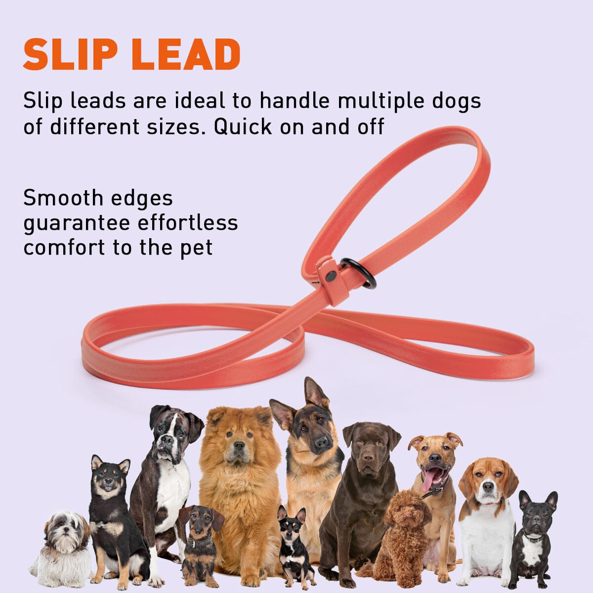 Biothane Slip Lead for Dogs, 5FT and 7FT