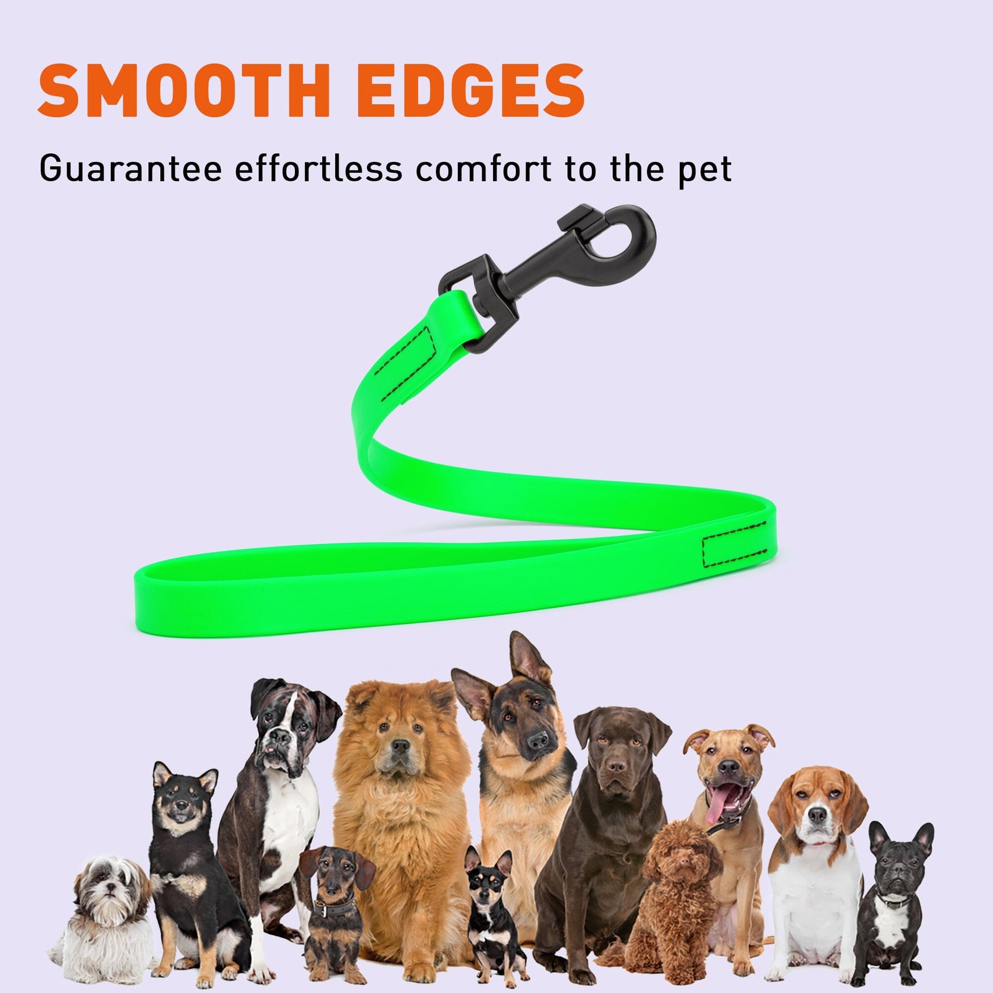 Biothane Waterproof Traffic Lead for Dogs, 2 ft