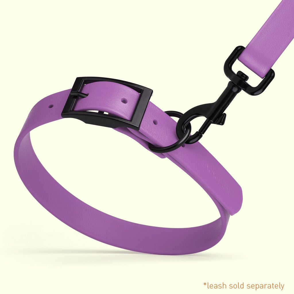 Biothane Waterproof Dog Collar - Small (12 to 15 inches)