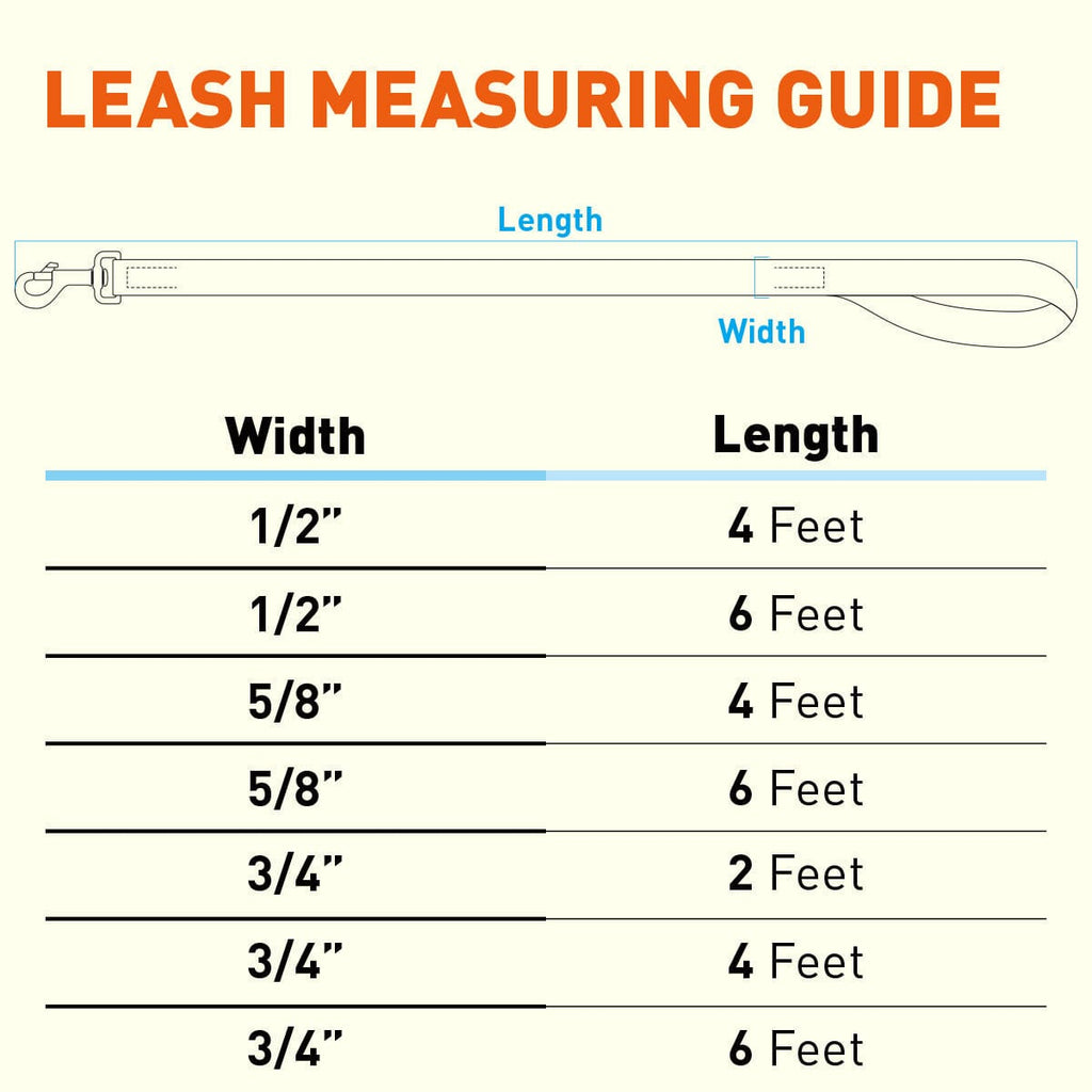 Biothane Waterproof Traffic Lead for Dogs, 2 ft