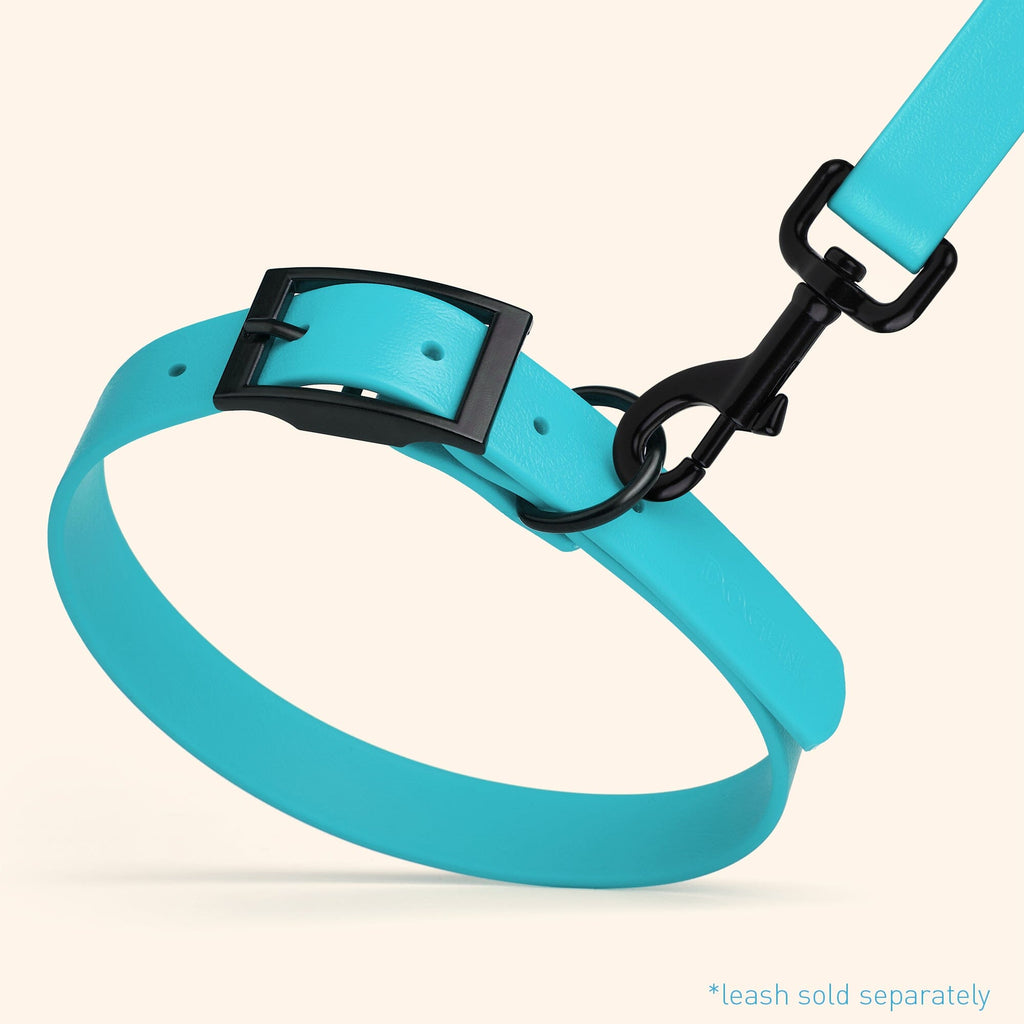 Biothane Waterproof Dog Collar - X-Large (22 to 25 inches)