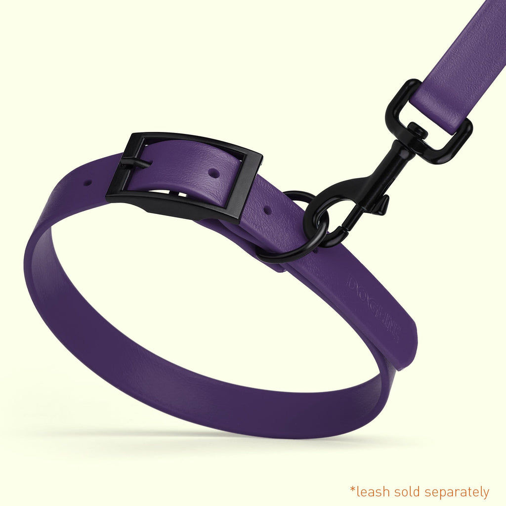 Biothane Waterproof Dog Collar - 1.5in Wide - XX-Large (24 to 28 inches)