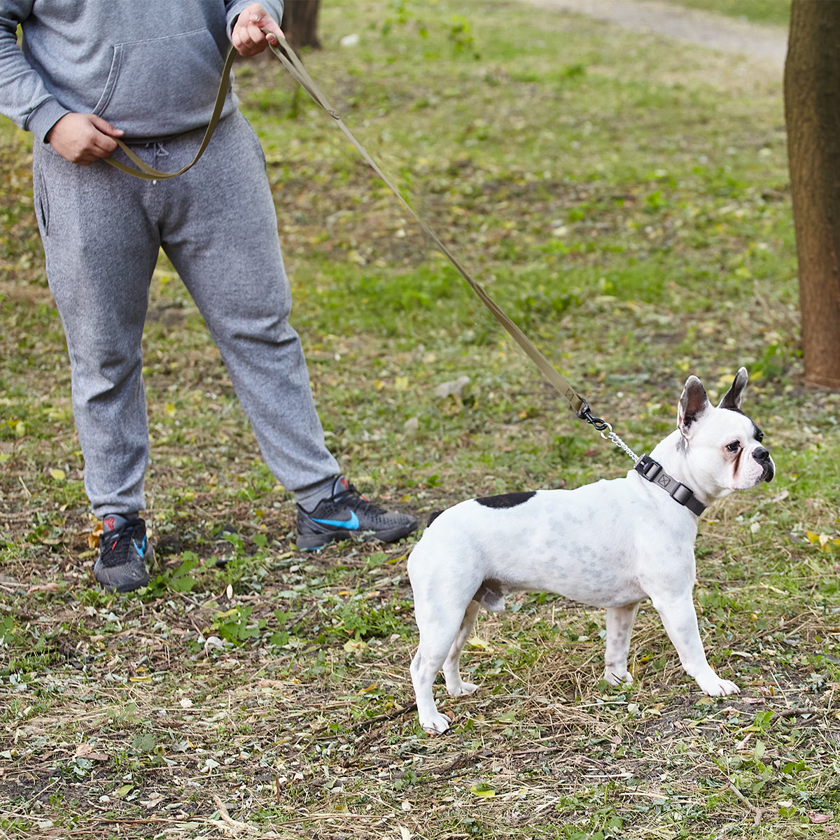 Biothane Waterproof Multi-Handle Dog Leash