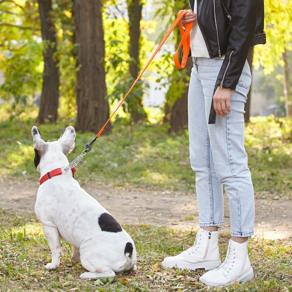 Biothane Waterproof Traffic Lead for Dogs, 2 ft