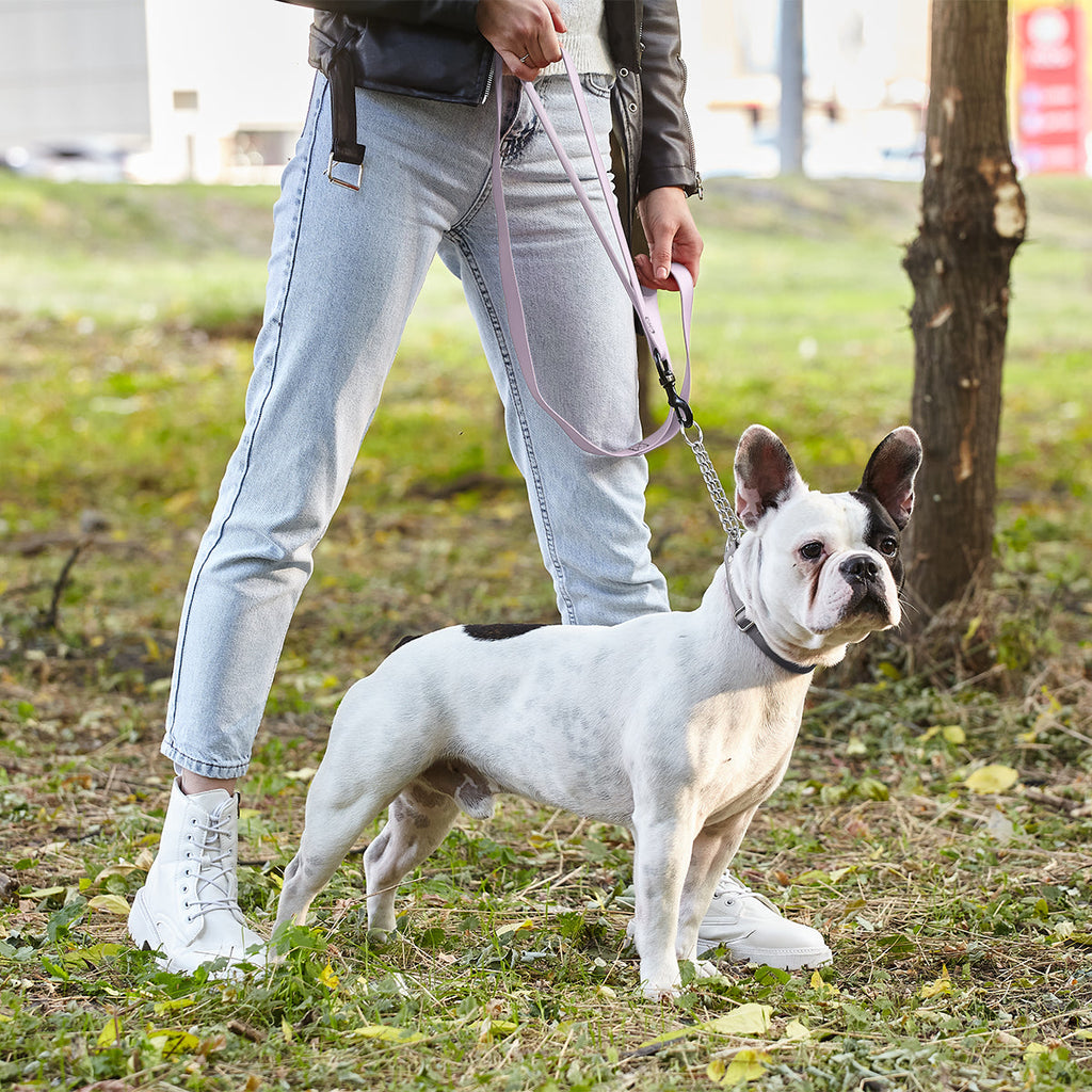 Biothane Waterproof Multi-Handle Dog Leash