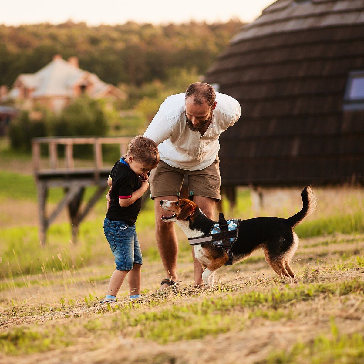 Unimax Multi-Purpose Dog Harness