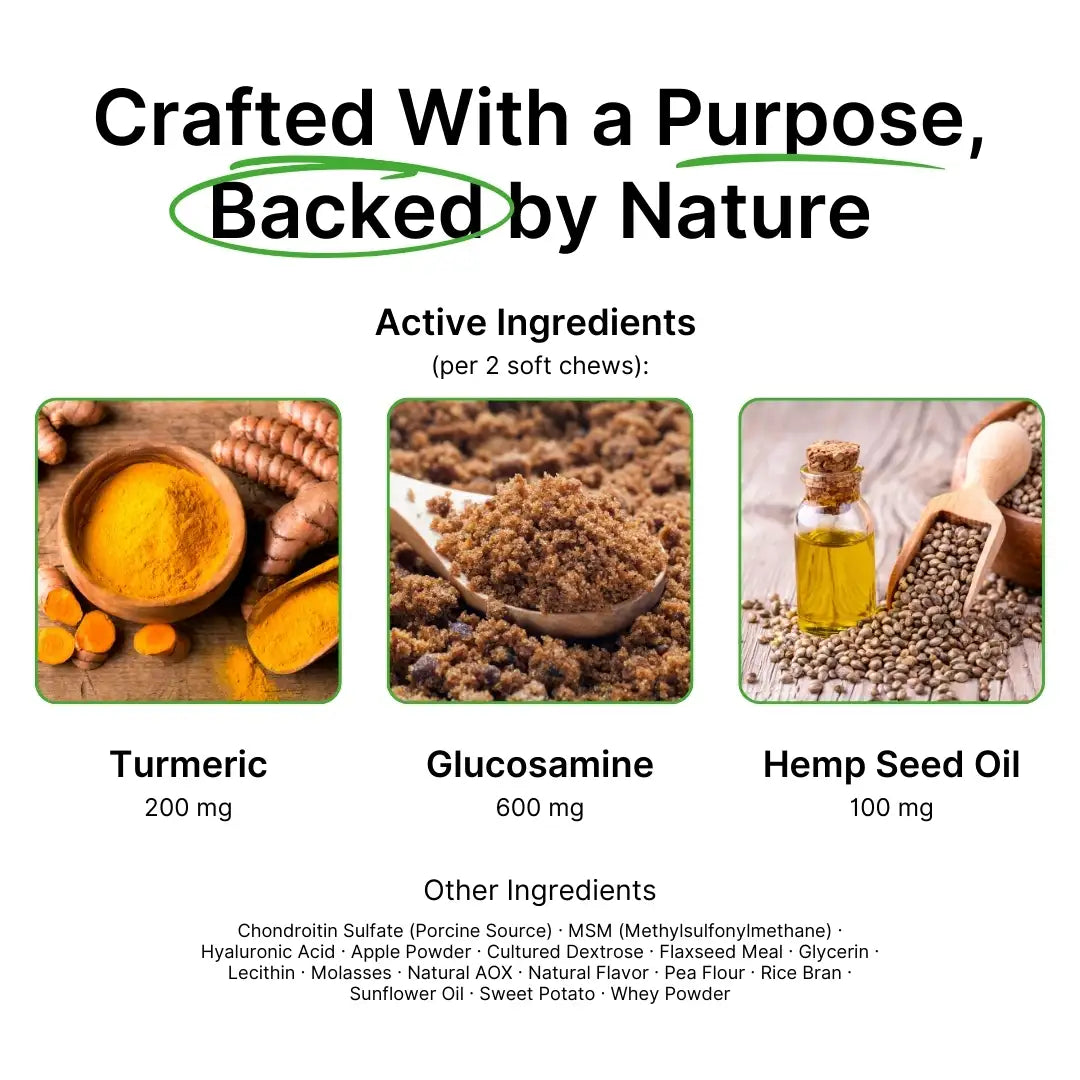 Hip & Joint With Hemp For Dogs 9oz Jar (120 count)