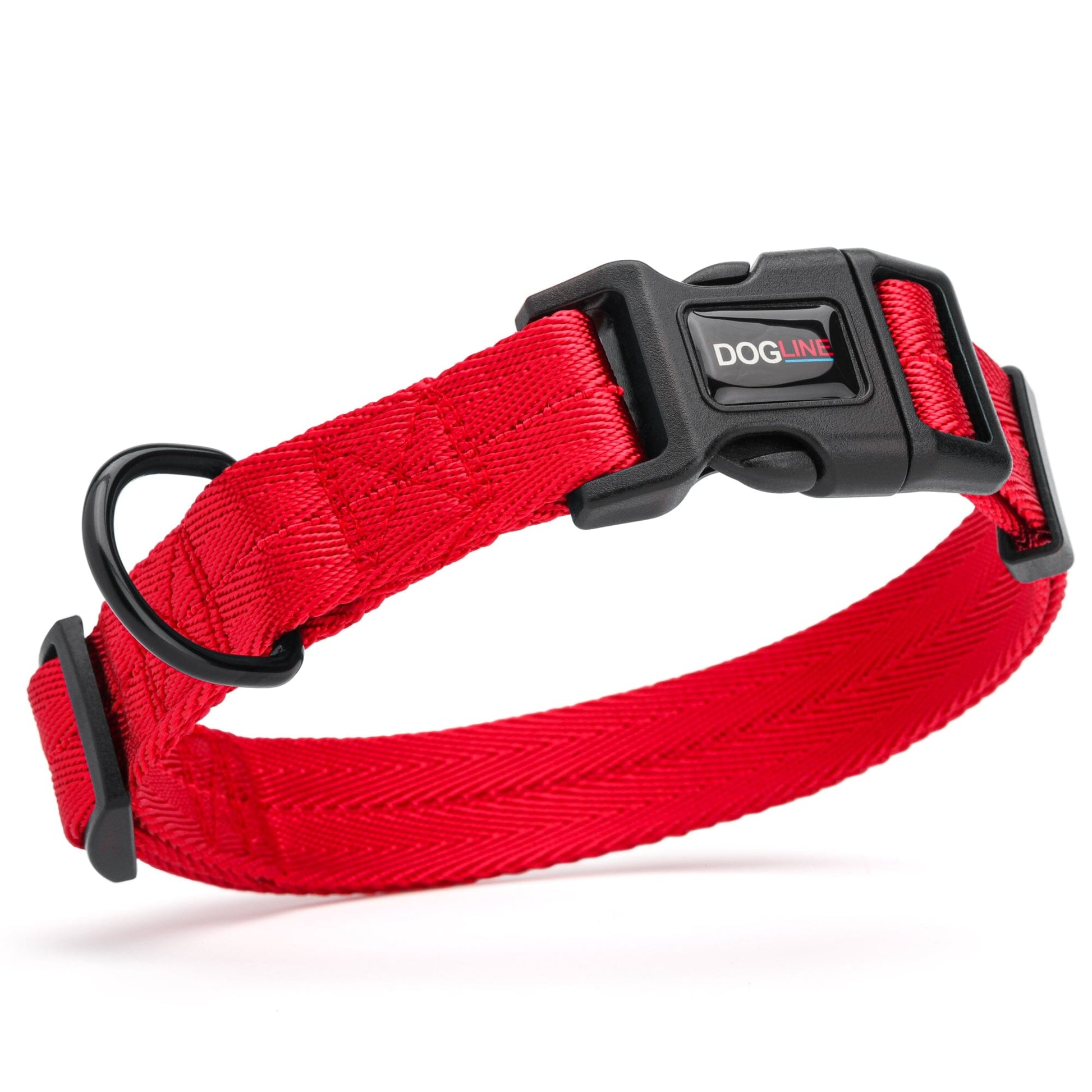 Nylon Flat Dog Collar