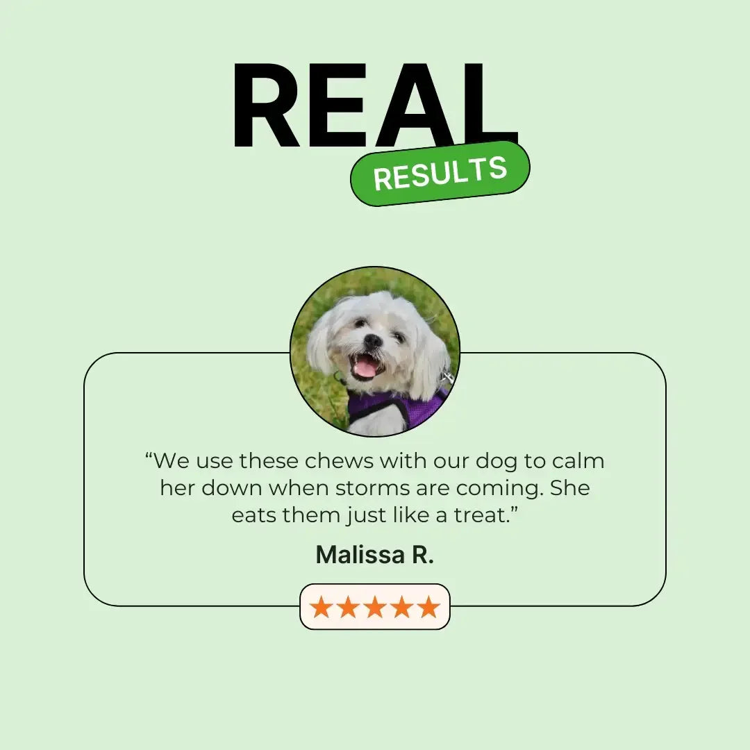 Calming Support With Hemp For Dogs 9oz Jar (120 Count)