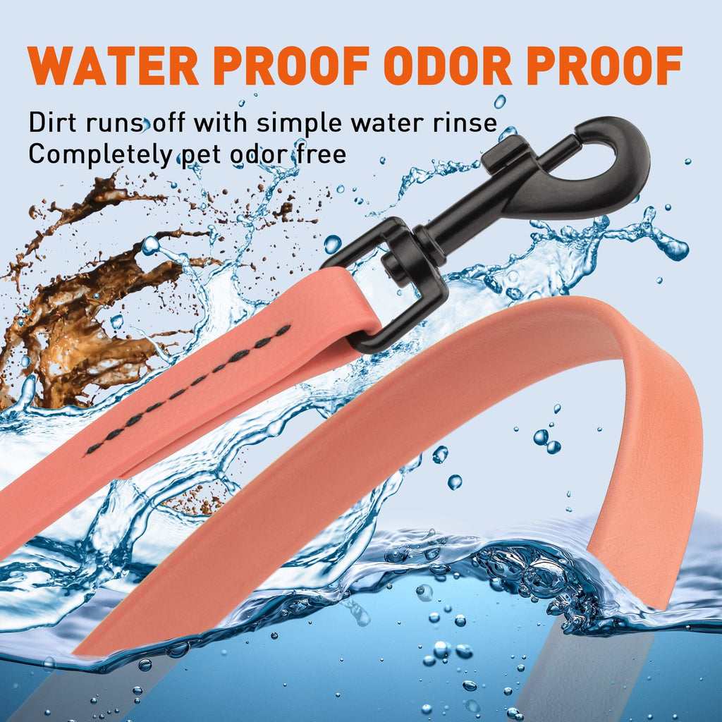 Biothane Waterproof Traffic Lead for Dogs, 2 ft