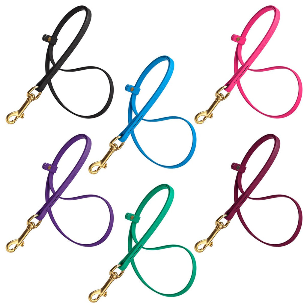 Biothane Dog Grooming Loop