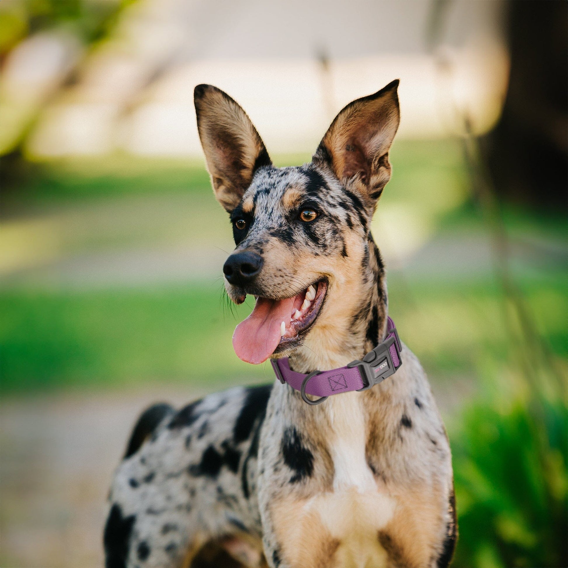 Pebble Emboss Biothane Dog Collar with Quick Release Buckle