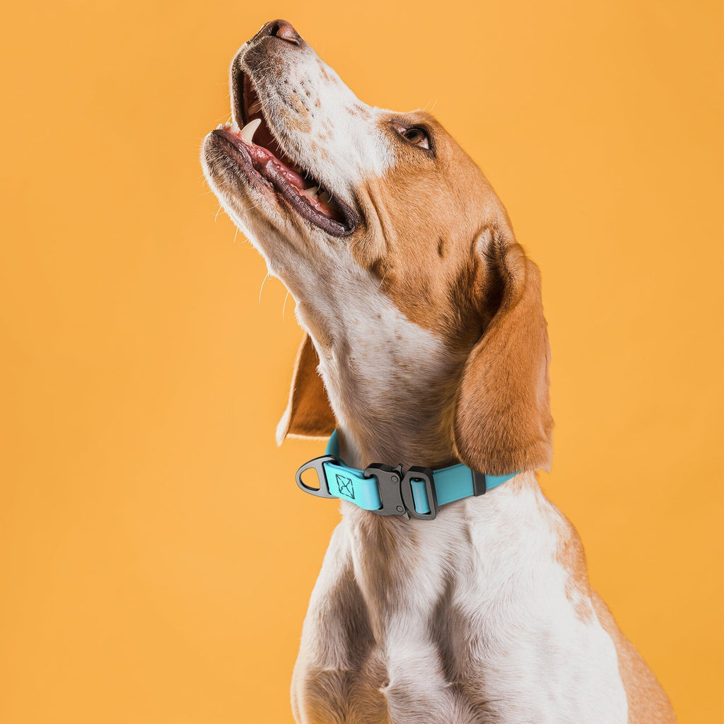 Dogline BioThane Dog Collar with Stab-Lock Quick Release Buckle