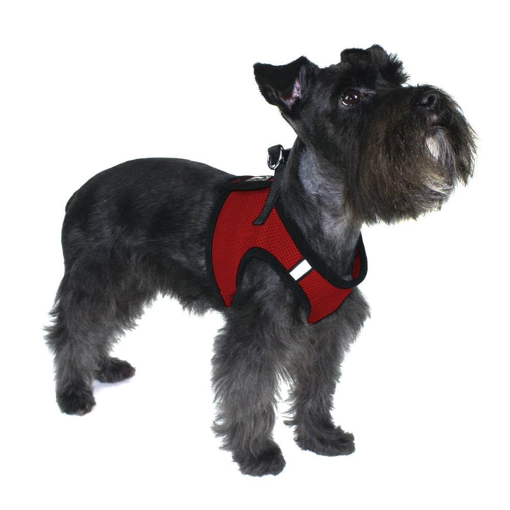 Boston Mesh Dog Harness + Built-in Hook & Loop Fastener