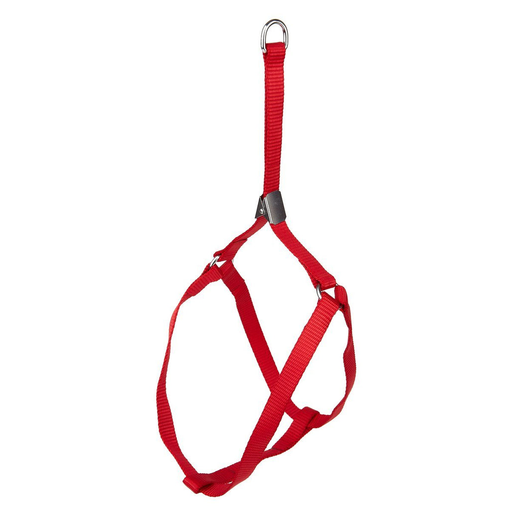 Step-In Nylon Dog Harness + Optional Flower Dog Leash