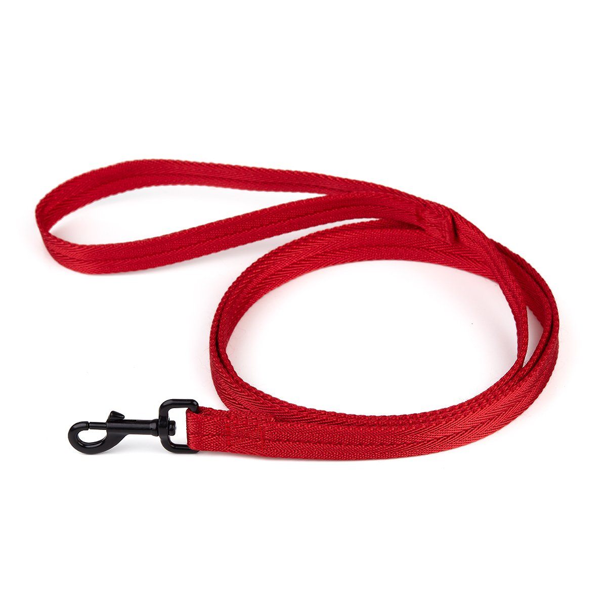 Nylon Flat Dog Leash