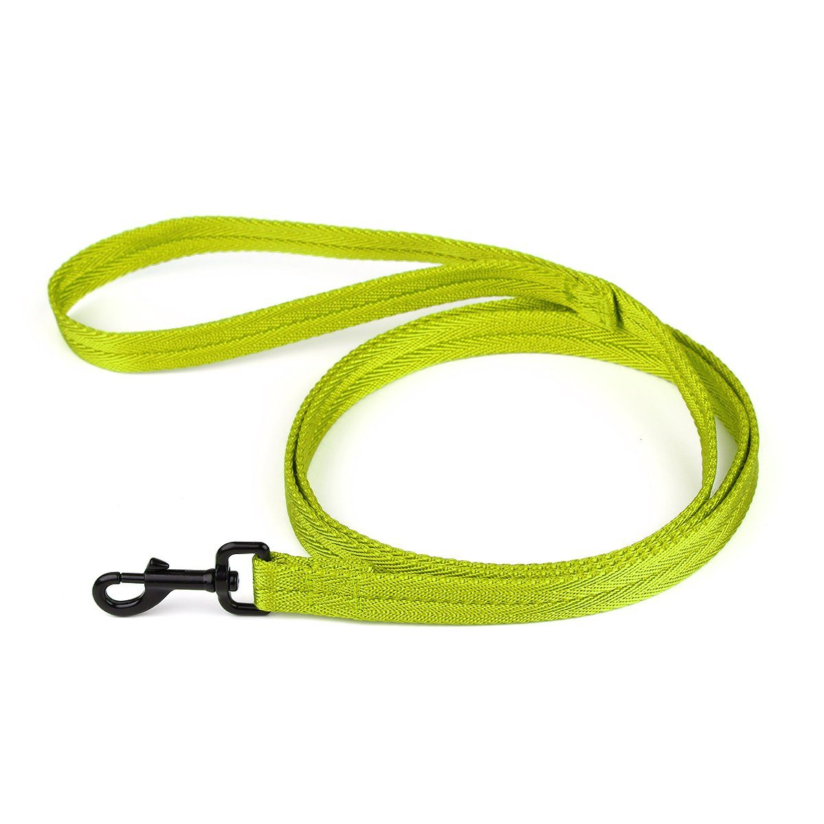 Nylon Flat Dog Leash
