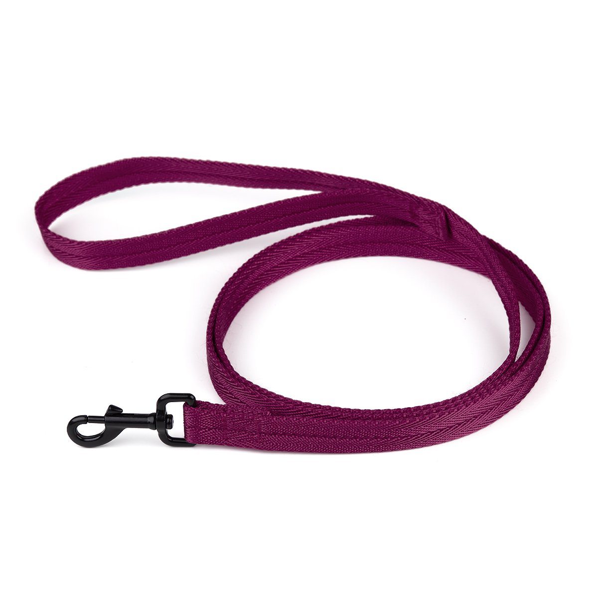Nylon Flat Dog Leash