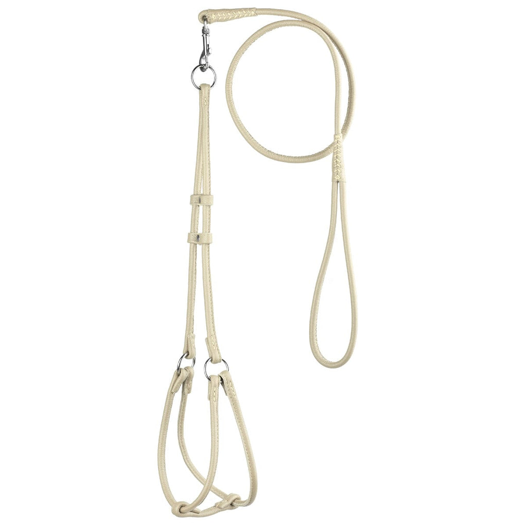 Soft Leather Round Step-In Dog Harness + Round Dog Lead