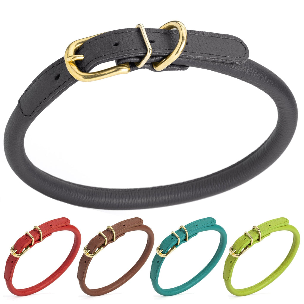 Soft Rolled Leather Dog Collar with Brass Hardware