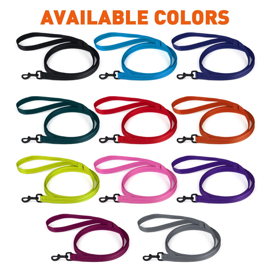 Nylon Flat Dog Leash