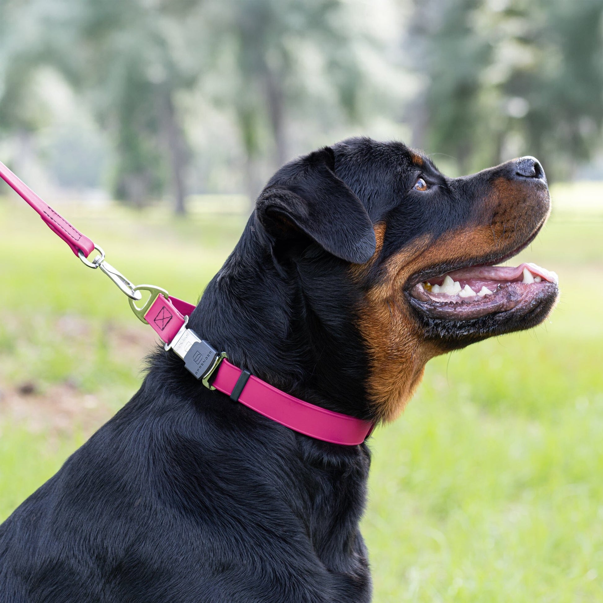 Dogline Biothane Waterproof Dog Collar with Herm Sprenger Stainless Steel Quick Release Buckle