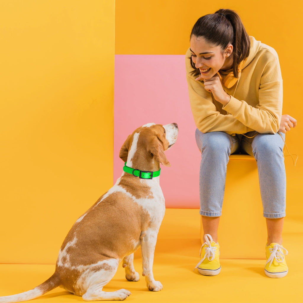 Biothane Waterproof Dog Collar - X-Large (22 to 25 inches)