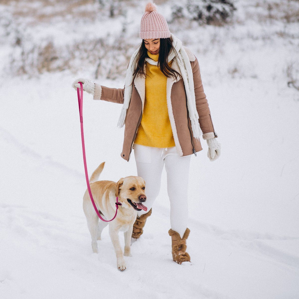 Viper Biothane Long Line 33 ft Lead with Brass Hardware