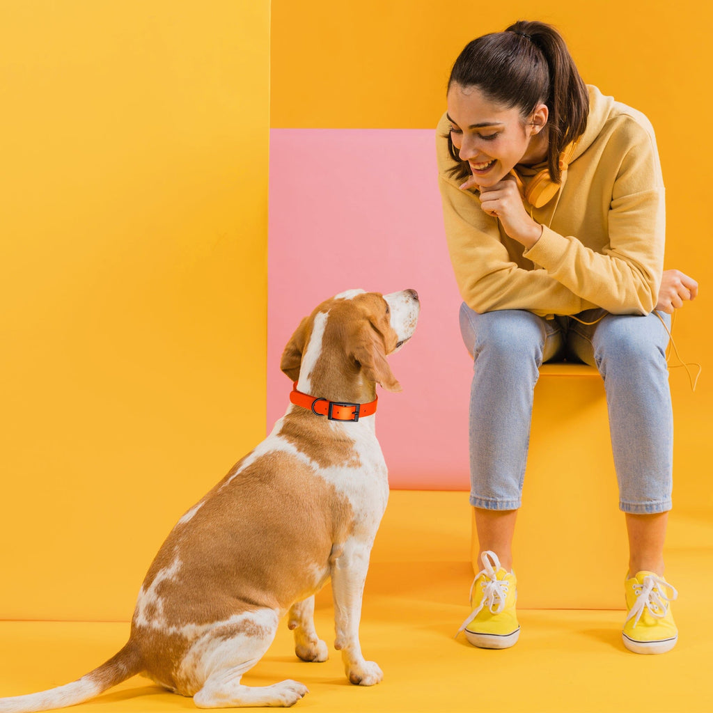 Biothane Waterproof Dog Collar - 1.5in Wide - Large (16 to 20 inches)