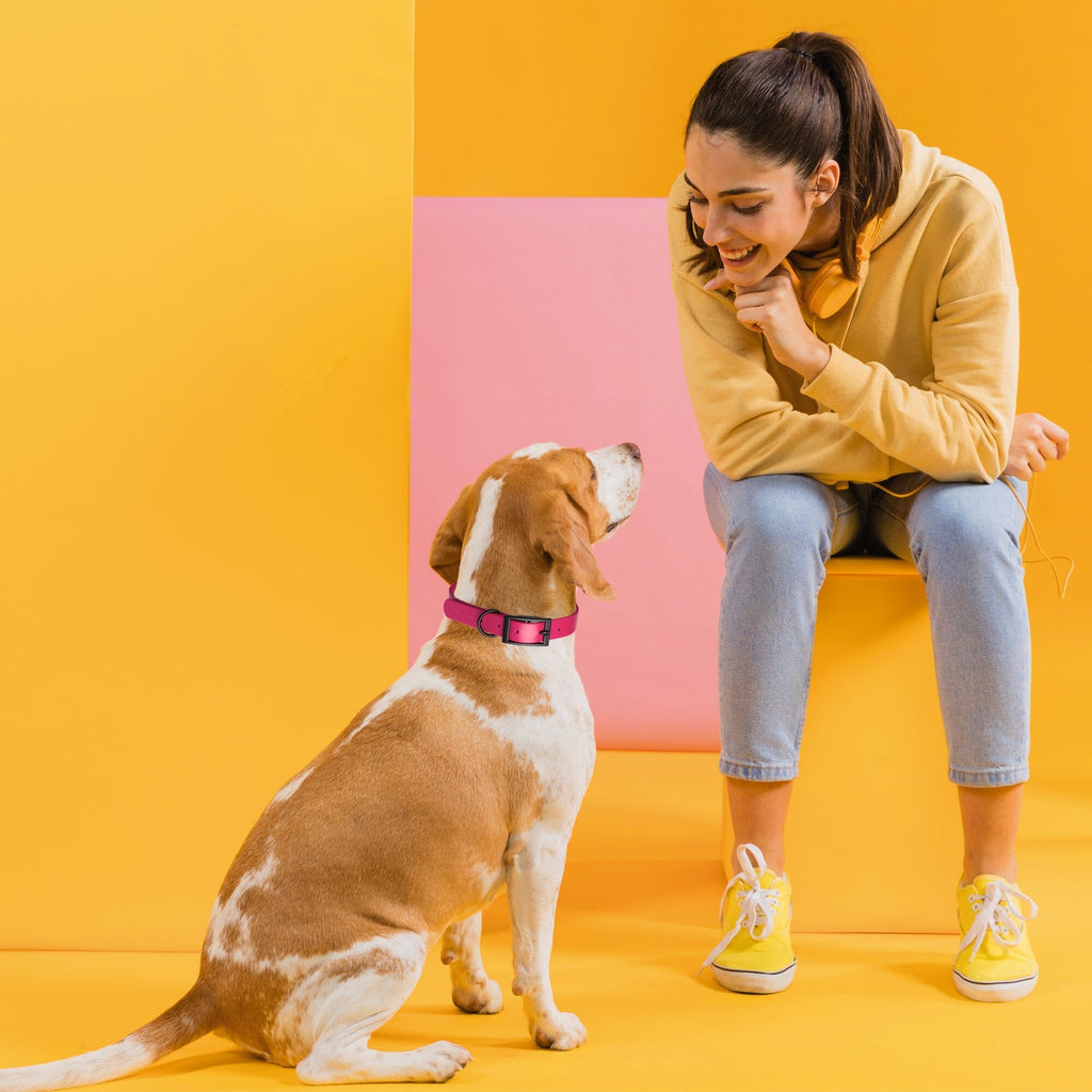 Biothane Waterproof Dog Collar - Medium (15 to 18 inches)