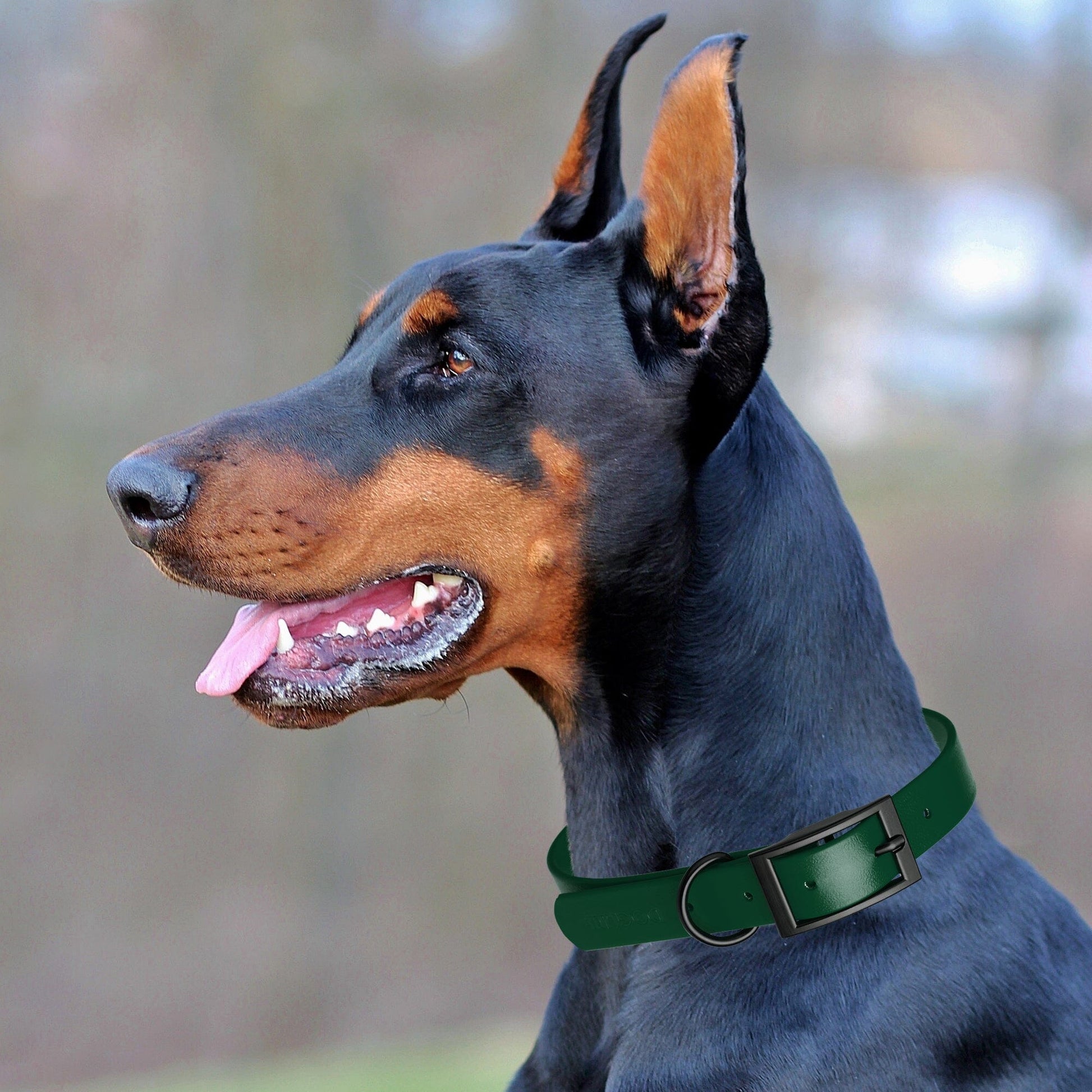 Biothane Waterproof Dog Collar - 1.5in Wide - Large (16 to 20 inches)