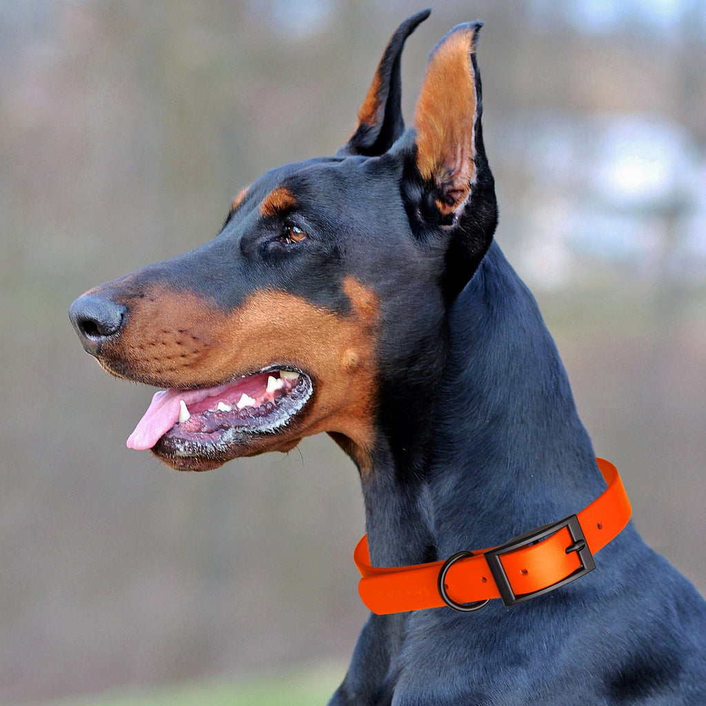 Biothane Waterproof Dog Collar - X-Small (9 to 12 inches)