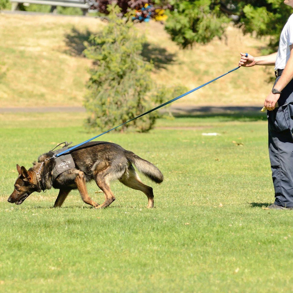 Viper Biothane Long Line 33 ft Lead with Brass Hardware