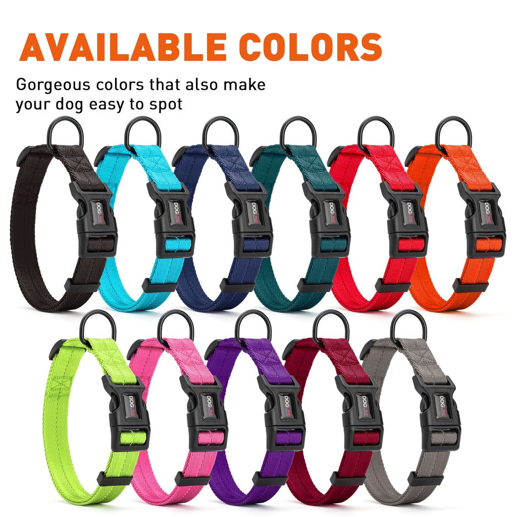 Nylon Flat Dog Collar