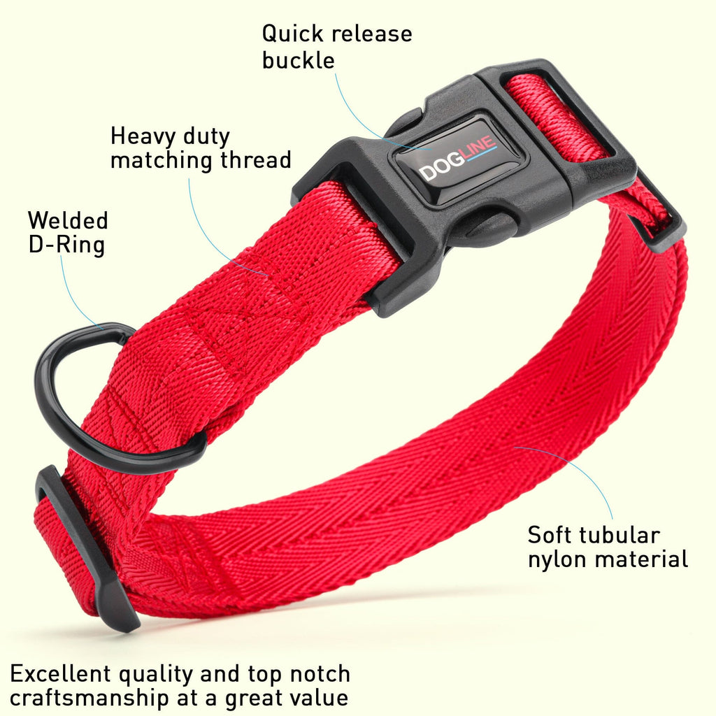 Nylon Flat Dog Collar